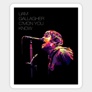 Liam Gallagher Knebworth 22 Sticker